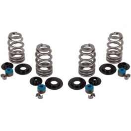HIGH PERFORMANCE VALVE SPRING KIT 0926-2886 HIGH PERFORMANCE VALVE SPRING KIT 0926-2886