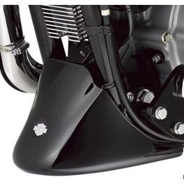 Sportster Front Spoiler - LCS5888204DH Sportster Front Spoiler - LCS5888204DH