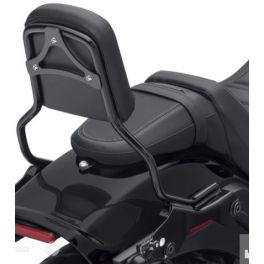 HoldFast Sissy Bar Upright - Standard Height - Gloss Black - LCS52300454