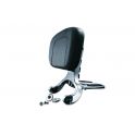 Multi-Purpose Driver & Passenger Backrest