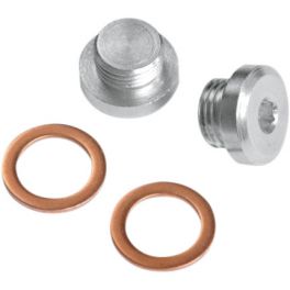 O² SENSOR PORT PLUG KIT O² SENSOR PORT PLUG KIT
