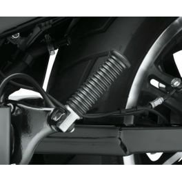 Passenger Footpeg Mount Kit LCS50500270