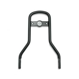 Custom Standard Mini-Medallion Style Sissy Bar Upright LCS5116810