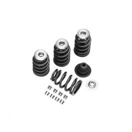 Screamin' Eagle Performance Valve Spring Kit LCS1801303A Screamin' Eagle Performance Valve Spring Kit LCS1801303A