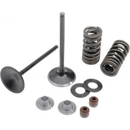 INTAKE ONLY CONVERSION SPRING KIT 0926-0442