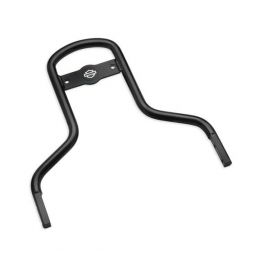 Low Mini-Medallion Style Sissy Bar Upright LCS52300401